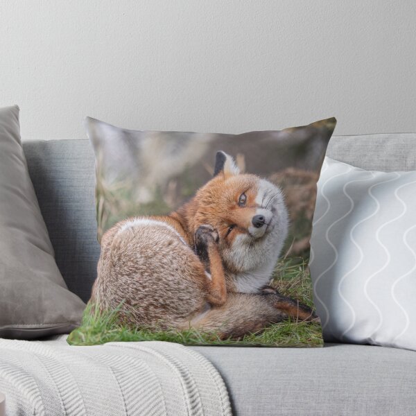 Item preview, Red Fox designed and sold by Steve Liptrot Photography.