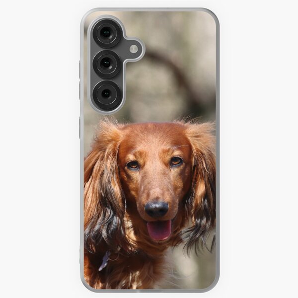 Item preview, Long haired dachshund designed and sold by ART-SUNRISE.
