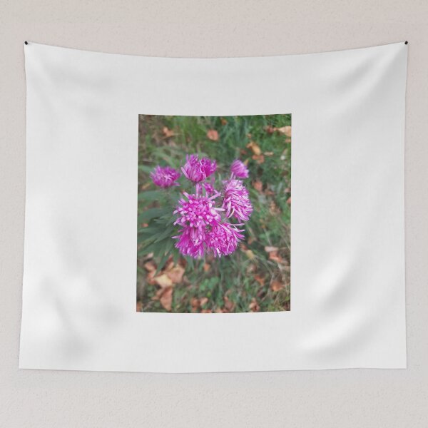 Item preview, autumn vibe.. designed and sold by barbich.