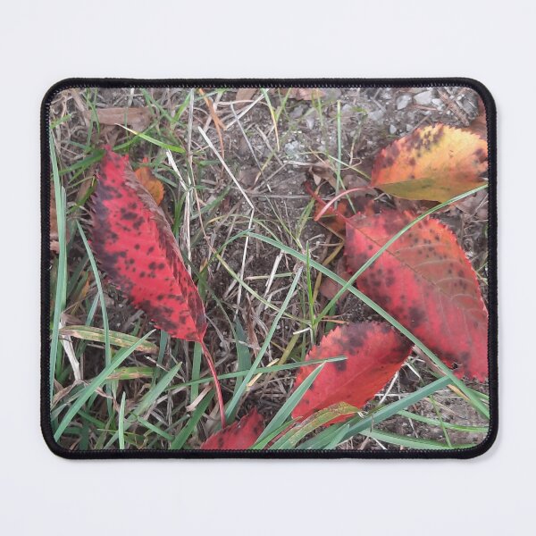 Item preview, amazing autumn... designed and sold by barbich.