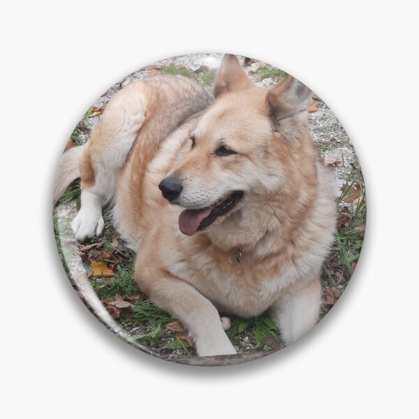 Item preview, resting dog designed and sold by barbich.