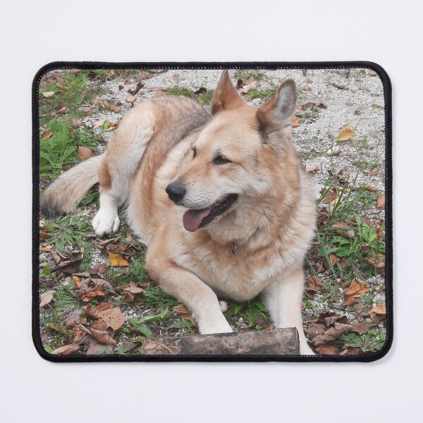 Item preview, resting dog designed and sold by barbich.