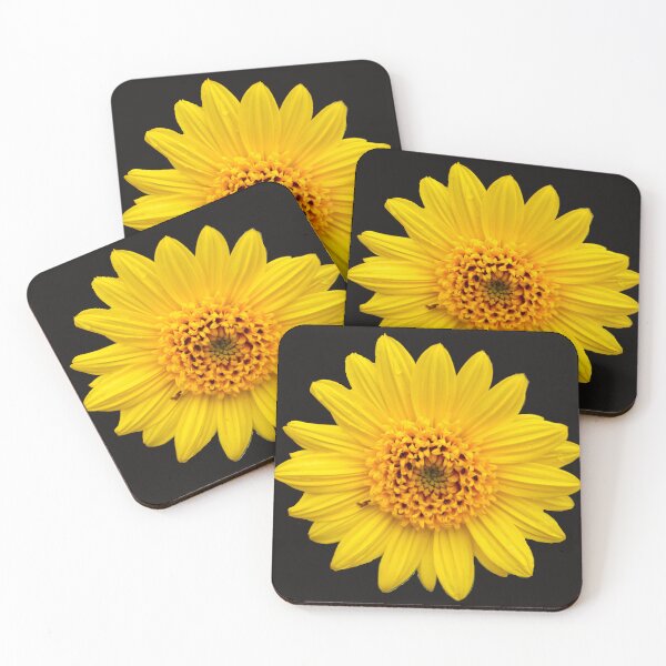 Item preview, African Daisies designed and sold by Nicole Gath.