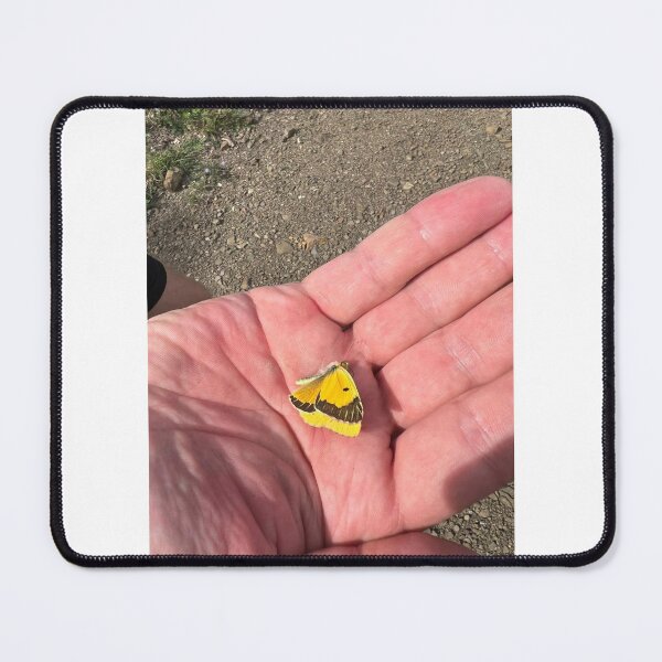 Item preview, litlle yellow butterfly designed and sold by barbich.