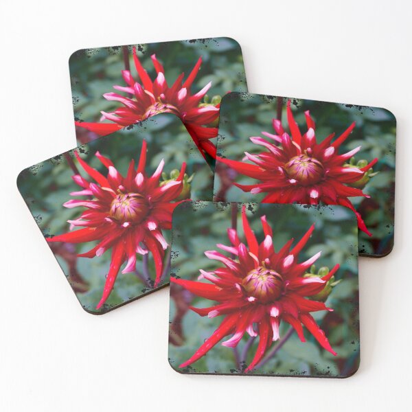 Item preview, Spiky Red Dahlia designed and sold by Nicole Gath.
