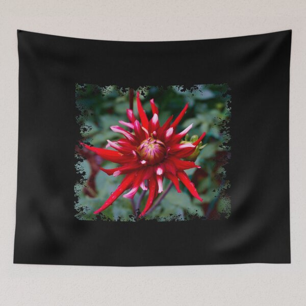 Item preview, Spiky Red Dahlia designed and sold by Nicole Gath.