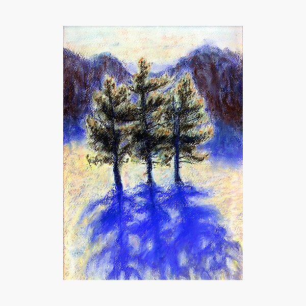 Three Pines. Snow in Virginia Photographic Print