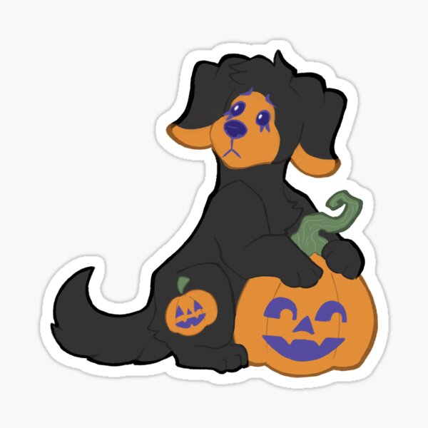 webkinz pumpkin puppy