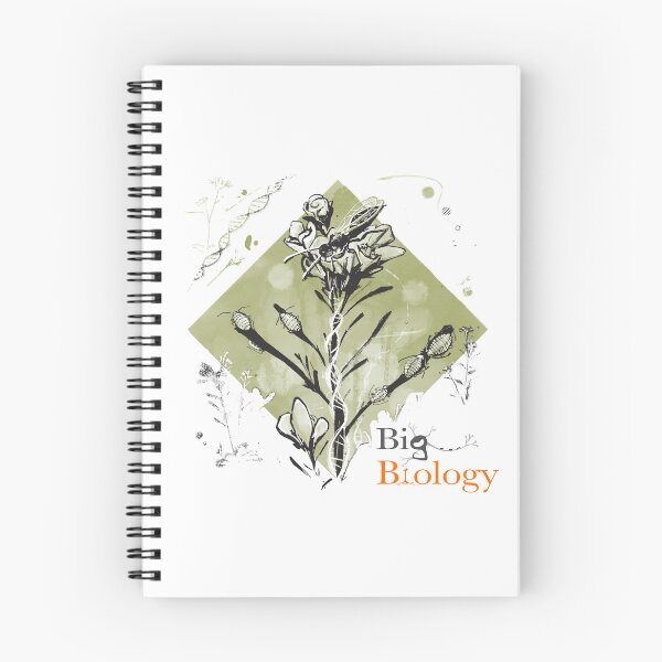Item preview, Keystone genes designed and sold by BigBiology.