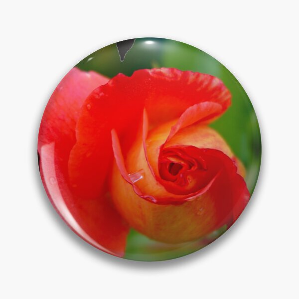 Item preview, Curled Rose designed and sold by Nicole Gath.