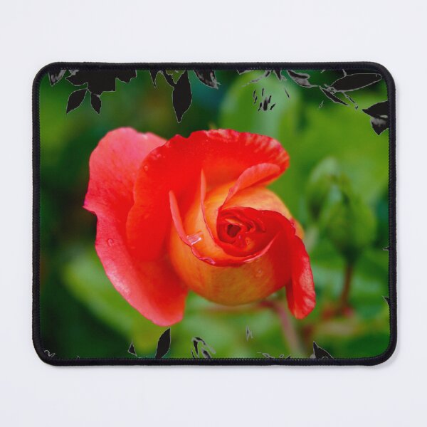 Item preview, Curled Rose designed and sold by Nicole Gath.
