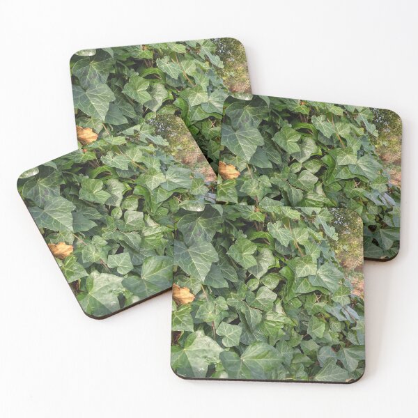 Item preview, pretty ivy designed and sold by Nolwennya.