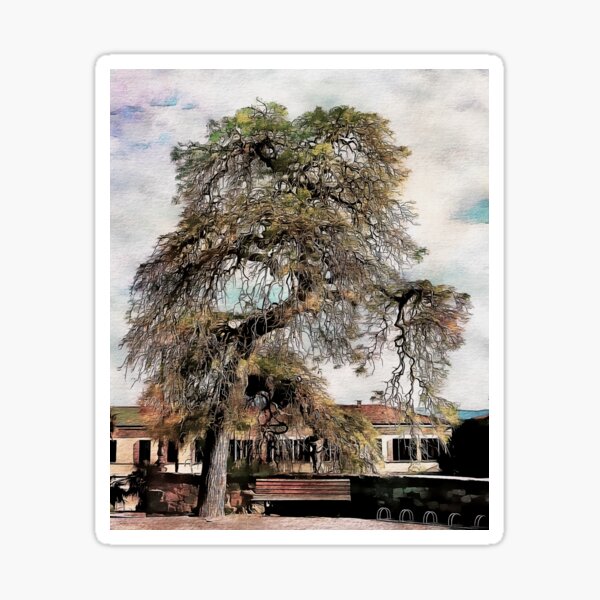 Item preview, Impressive Willow Tree designed and sold by ShannathShima.