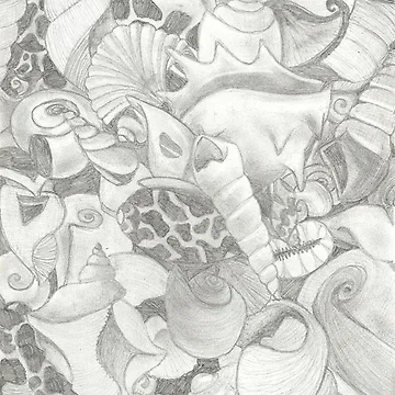 Artwork thumbnail, Shells by Heathergates