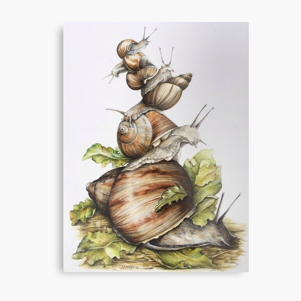 The small worlds Metal Print