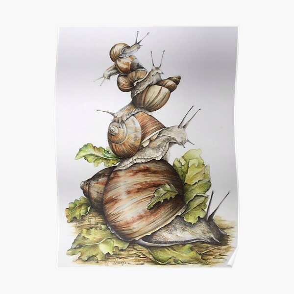 The small worlds Poster