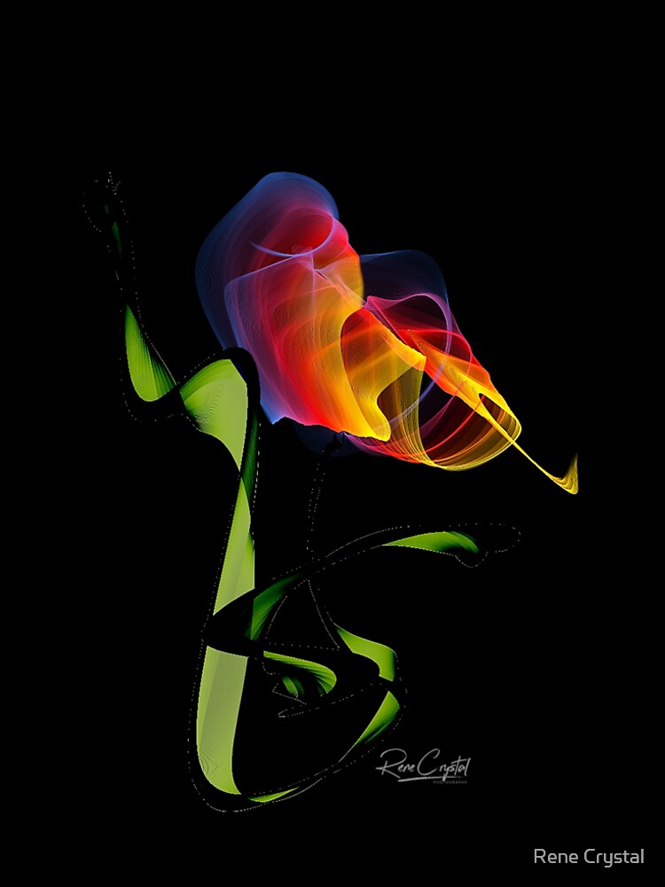 A Bloomin' Rainbow by imagesbycrystal
