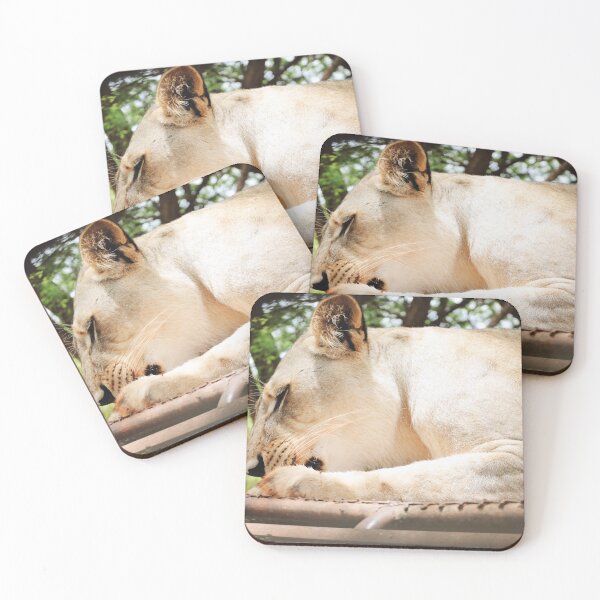 Item preview, Lioness in the savannah designed and sold by Creativitytrend.