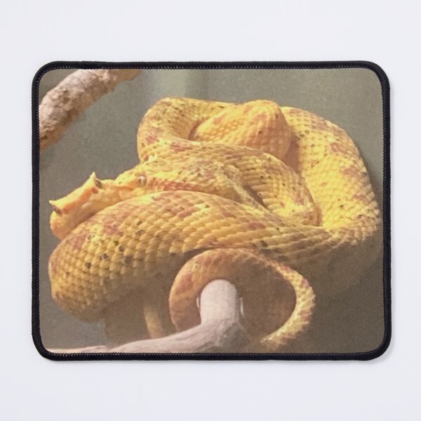 Item preview, Golden Viper Lovers designed and sold by Taranodongirl7.