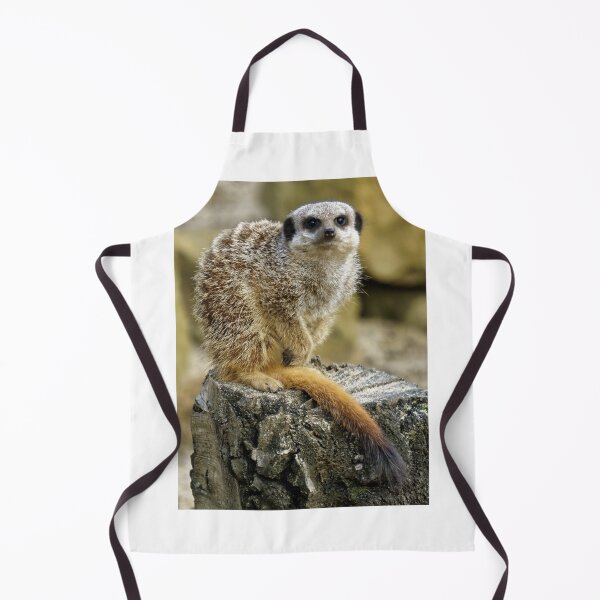 Item preview, Meerkat designed and sold by Stephen Frost.
