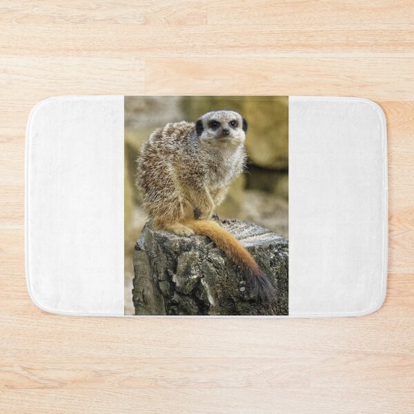 Item preview, Meerkat designed and sold by Stephen Frost.
