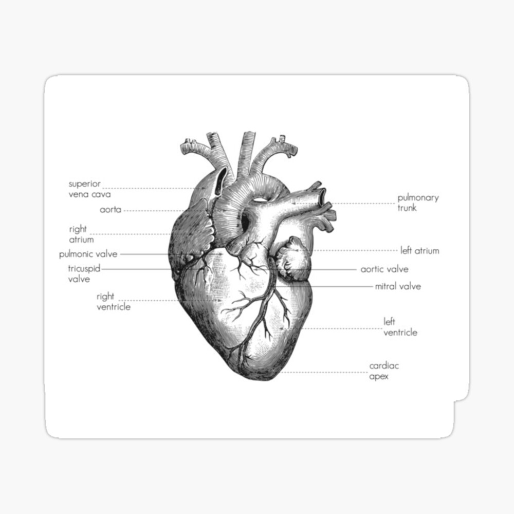 Simple Human Heart Diagram 2 Weekender Tote Bag by Vintage Anatomy Prints -  Fine Art America