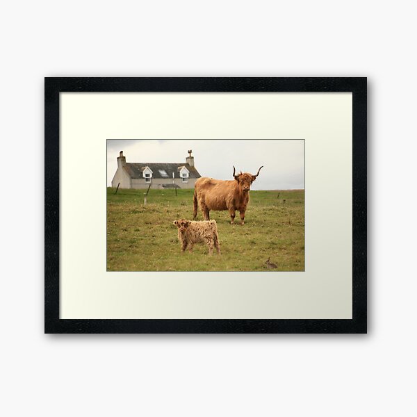 Item preview, Highland cow and calf Scotland designed and sold by ljm000.