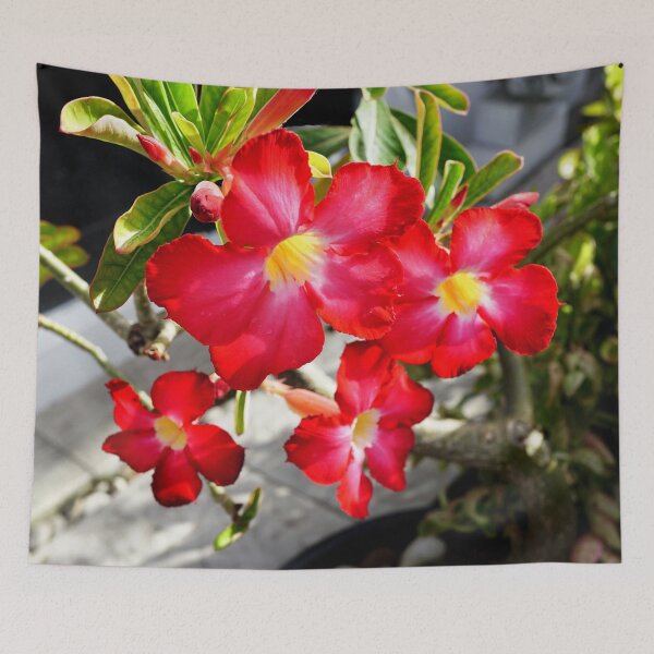 Item preview, Show flower 6 designed and sold by pracha.