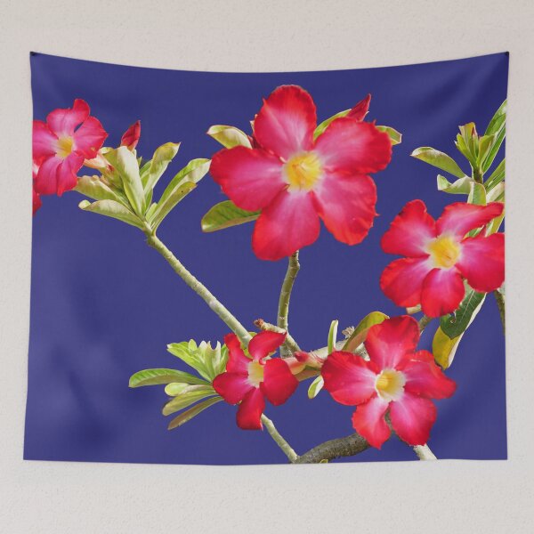 Item preview, Show flower 4 designed and sold by pracha.