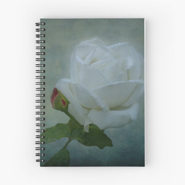 Item preview, White Rose on Blue designed and sold by Sandy Keeton.