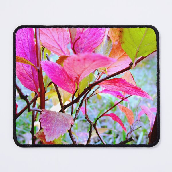 Item preview, Autumn nature photography | autumn aesthetic nature photo designed and sold by lausn.