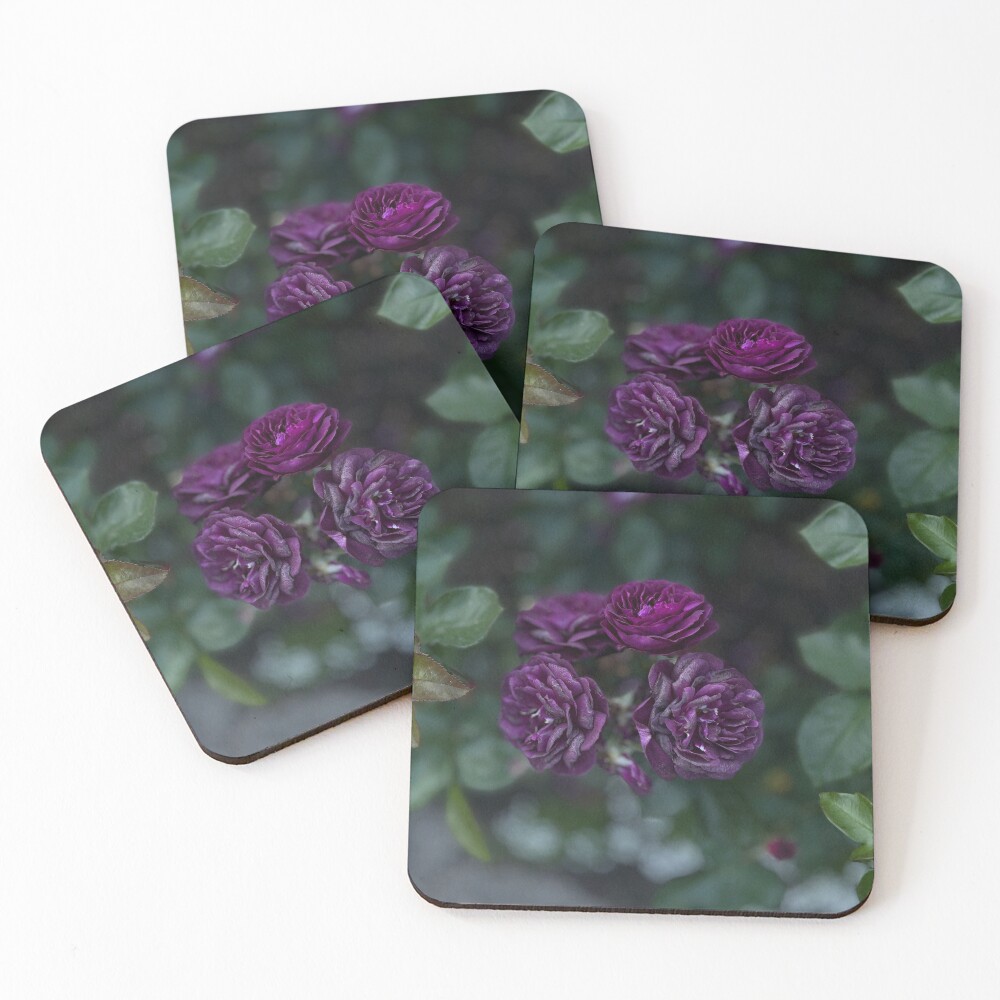 Item preview, Coasters (Set of 4) designed and sold by schneidercf.