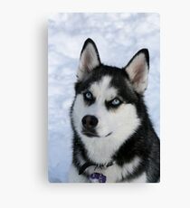 Innocent Keva Canvas Print