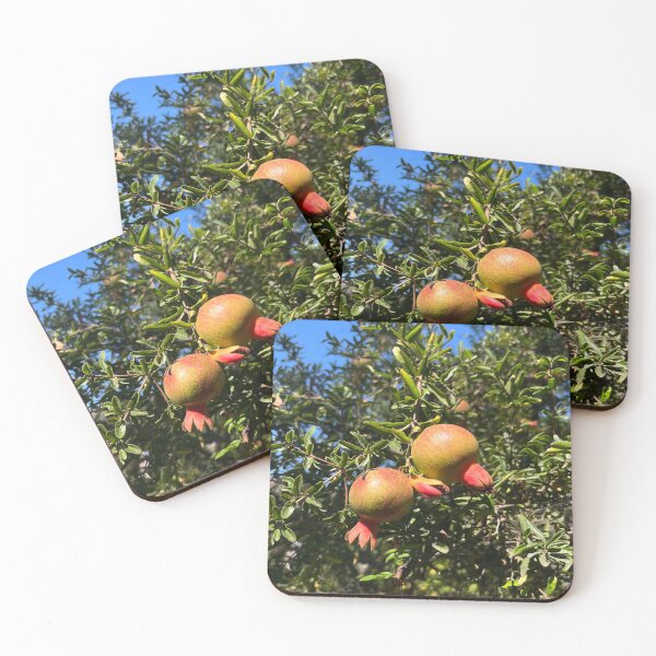 Item preview, Growing Pomegranates designed and sold by schneidercf.