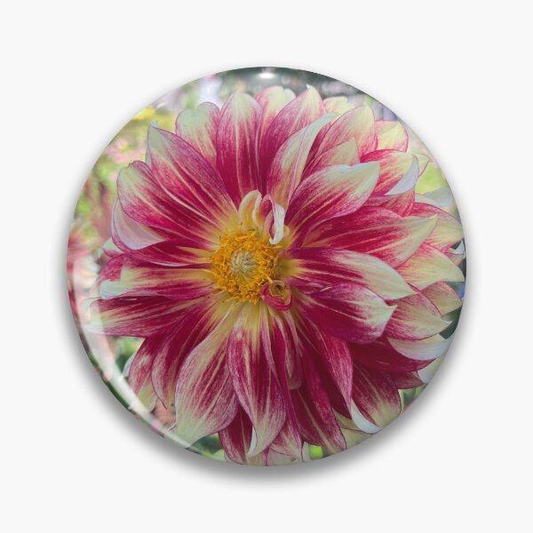 Item preview, Standout Dahlia designed and sold by schneidercf.