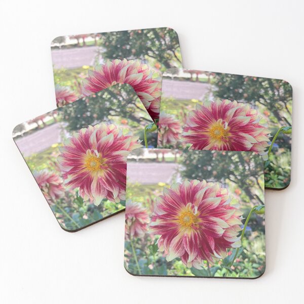 Item preview, Standout Dahlia designed and sold by schneidercf.