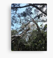 Raw Canvas Print
