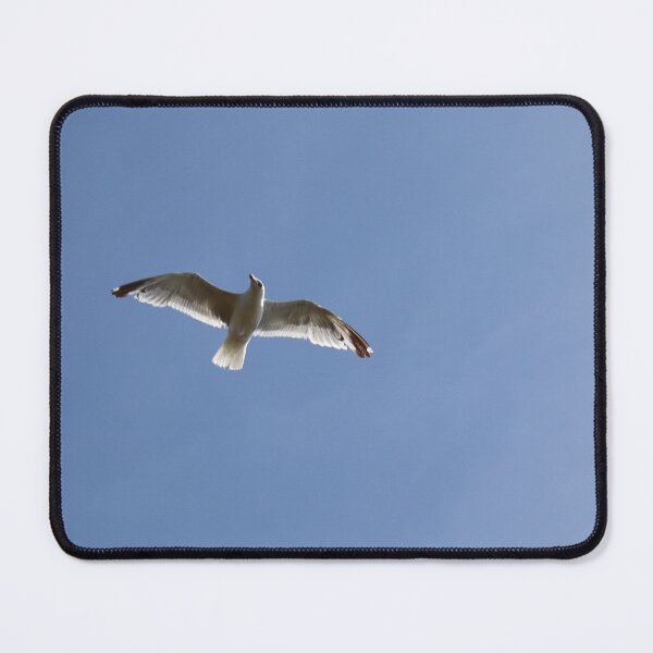 Item preview, Like a seagull designed and sold by Nolwennya.
