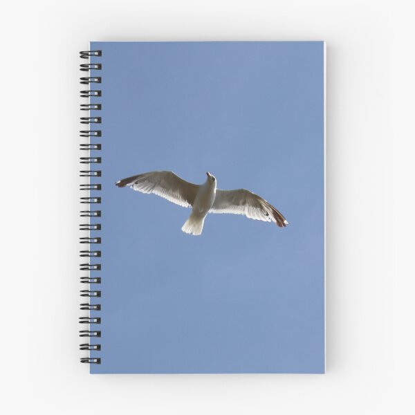 Item preview, Like a seagull designed and sold by Nolwennya.