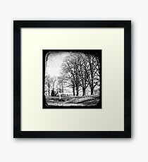 Gostwyck, Northern Tablelands, New South Wales, Australia Framed Print