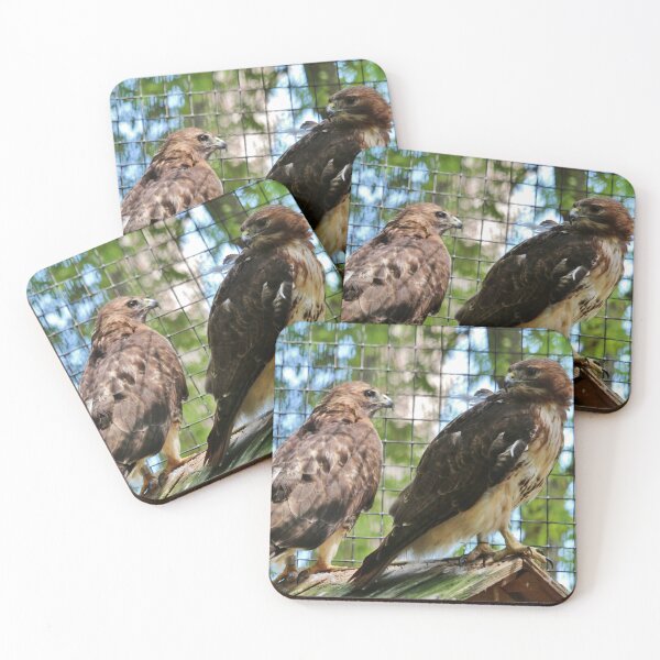 Item preview, Cage Break Conversation designed and sold by Cynthia48.