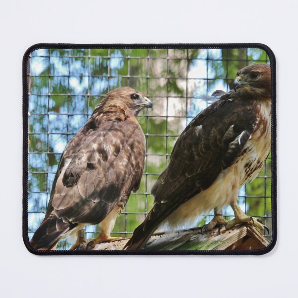 Item preview, Cage Break Conversation designed and sold by Cynthia48.