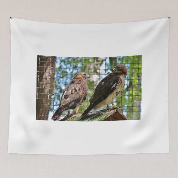Item preview, Cage Break Conversation designed and sold by Cynthia48.