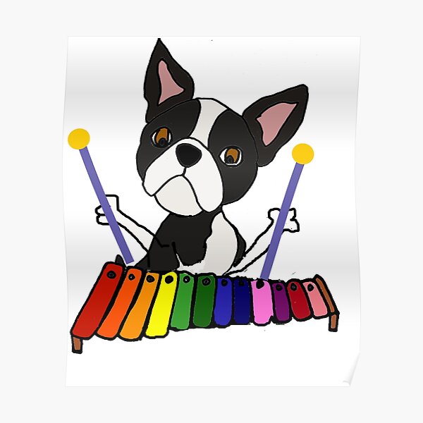 "Cute Boston Terrier Dog Playing Xylophone Cartoon" Poster by
