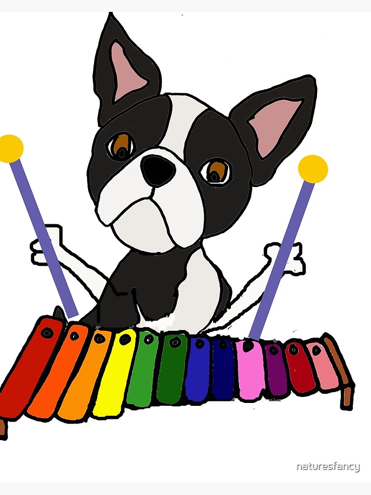 dog xylophone