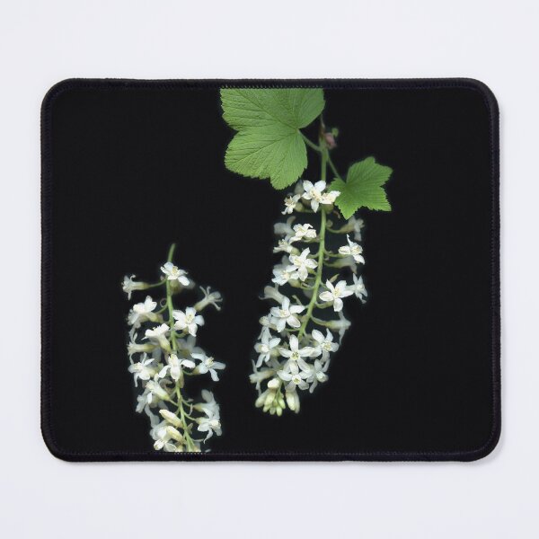 Item preview, Flowering Currants designed and sold by Gabriele Maurus.
