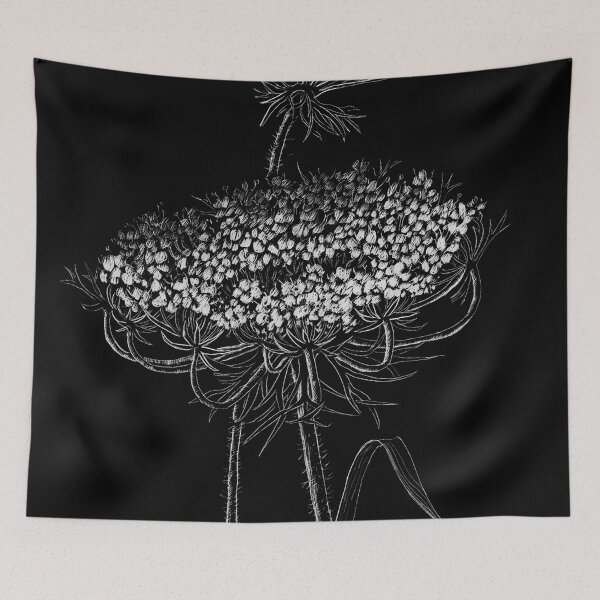 Item preview, Wild Carrot Flower (scraperboard) designed and sold by Painting By Nature.
