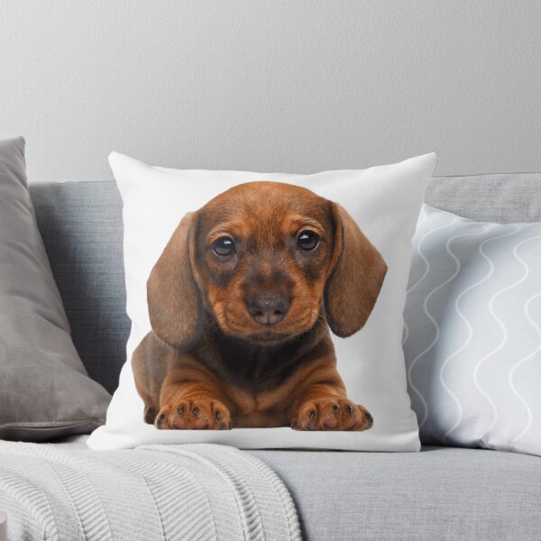 Item preview, Mini dachshund puppies designed and sold by The Love Quill.