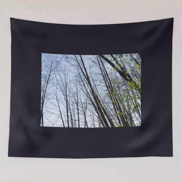 Item preview, Lines designed and sold by Gabriele Maurus.
