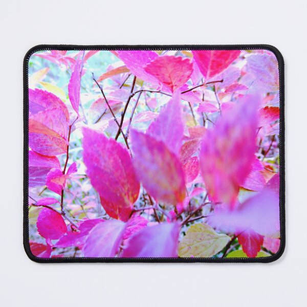 Item preview, Autumn photography | Autumn nature photo designed and sold by lausn.